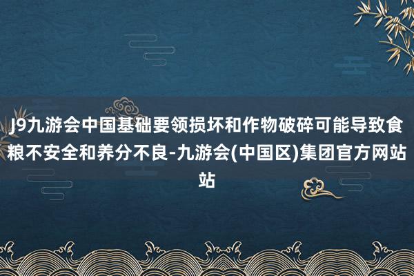 J9九游会中国基础要领损坏和作物破碎可能导致食粮不安全和养分不良-九游会(中国区)集团官方网站