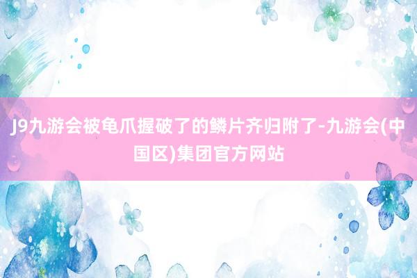 J9九游会被龟爪握破了的鳞片齐归附了-九游会(中国区)集团官方网站